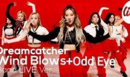 番茄殿下最新爆料是哪一期,揭秘哪一期成为焦点