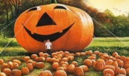 吃瓜小南第一集免费观看,揭秘神秘事件背后的真相